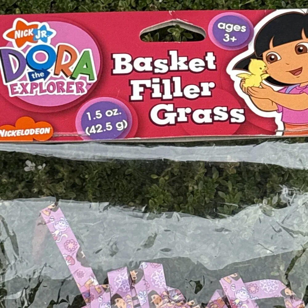 Dora The Explorer Easter Birthday Basket Filler Grass Nickelodeon Boots Printed